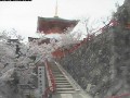 中山寺境内・大願塔からの眺め