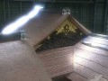 名古屋城本丸御殿 復元工事
