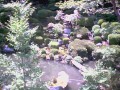 康徳寺庭園