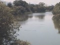 吉野川市の河川