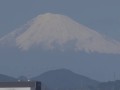 静岡市駿河区から望む富士山