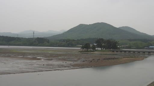 小湊海岸の白鳥