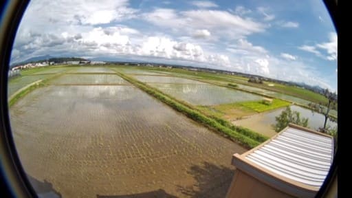 山鹿市鹿本町小嶋