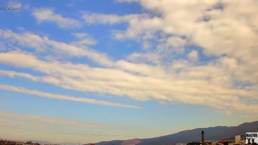 奈良公園上空