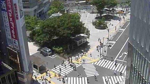 新宿大通り