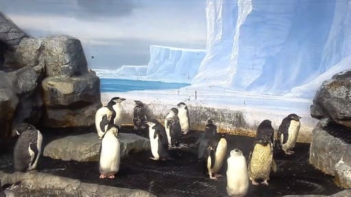 名古屋港水族館
