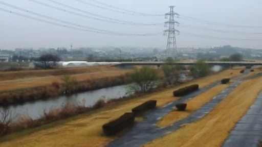 境川 (西一色水位観測所)
