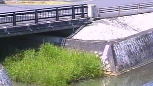 誕生寺川