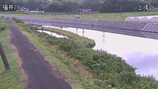 福井川 阿南市福井町大西