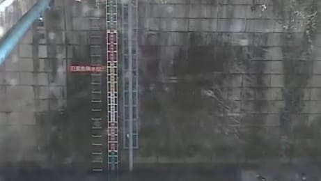 神田川 南小滝橋