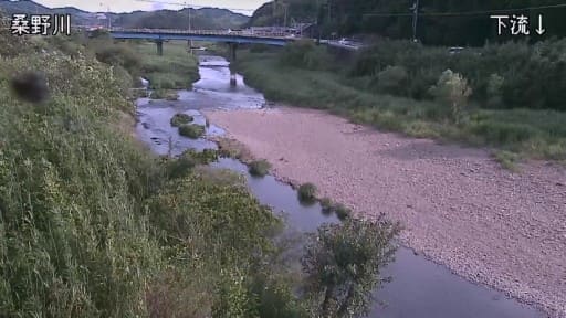 桑野川 阿南市桑野町