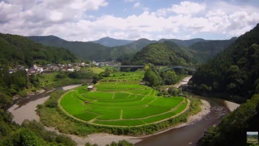 あらぎ島
