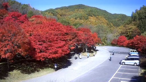 箕輪町 もみじ湖付近