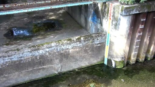 石神井川 溜淵橋