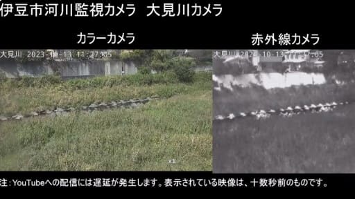 伊豆市の河川