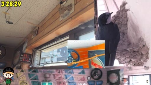 川崎市 つばめの巣