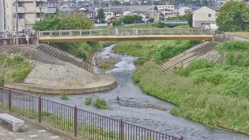 三島市の河川