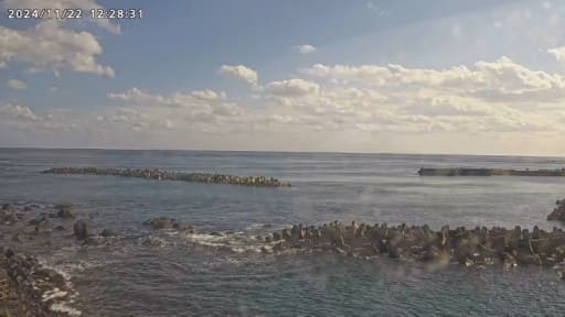 八丈島ホエールウォッチングカメラ 洞輪沢