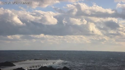 八丈島ホエールウォッチングカメラ 八重根港