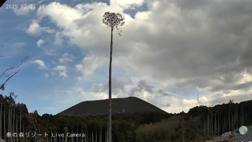 奏の森Resortsから望む大室山