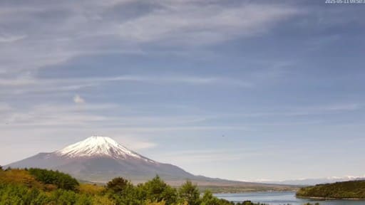 山中湖平野から望む富士山
