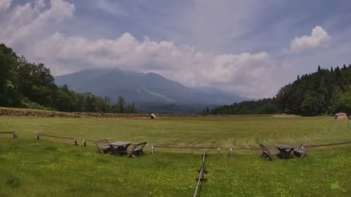 やすらぎの森オートキャンプ場