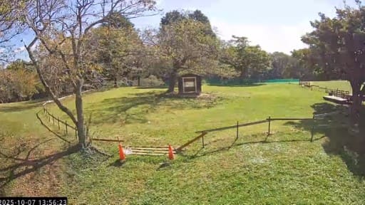 休暇村帝釈峡
