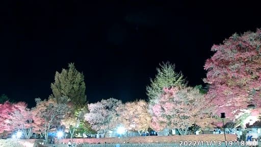 富士河口湖紅葉まつり メイン会場