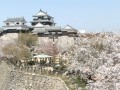 松山城 OR 松山市街