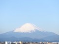 藤沢市から望む富士山
