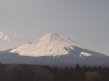 小山町から見た富士山