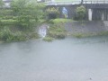 中土佐町の河川