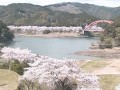 古座川町