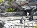サンシャイン水族館