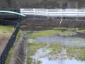 落合川 毘沙門橋