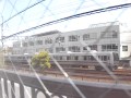 JR神戸線 さくら夙川駅~芦屋駅