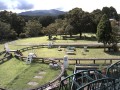 鉄道模型と富士山