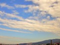 奈良公園上空