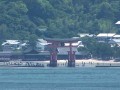 宮島競艇場から見る宮島