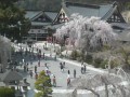 身延山久遠寺境内