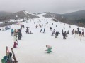 くじゅう森林公園スキー場