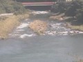 伊豆市の河川・土肥港