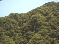 奥多摩町日原