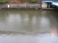 綾瀬川 水戸橋