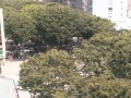 定禅寺通り