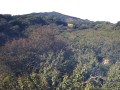 鵠沼海岸