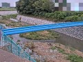 温井川 東橋
