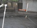 丸子川 滝ノ橋