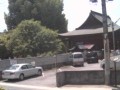飛騨国分寺の大銀杏