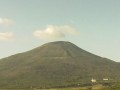 八丈島 楊梅ヶ原